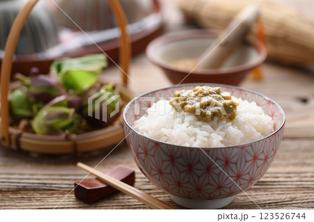 ご飯にのせたふきのとう味噌 123526744