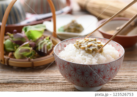 ご飯にのせたふきのとう味噌 123526753