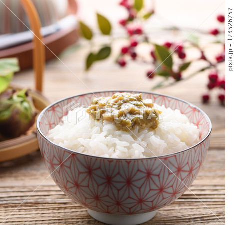 ご飯にのせたふきのとう味噌 ご飯にのせたふきのとう味噌 123526757