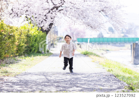 桜の下を走る男の子 cherry blossoms 桜の下を走る男の子 cherry blossoms 123527092