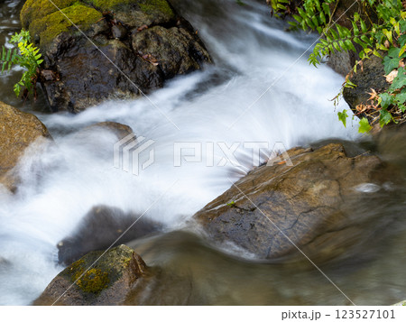 スローシャッターで撮った清流の美しく滑らかな流れ 123527101