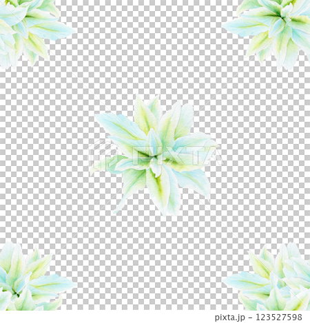 Beauty lily white flowers watercolor seamless pattern isolated on white background. High quality clip art perfect for cards, posters, stickers, Easter, christening spring, mother's day, wedding cards 123527598