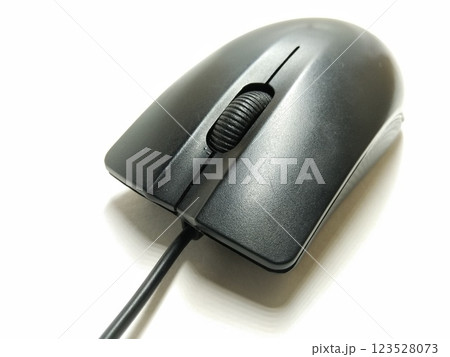 A picture of computer mouse isolated on a white background A picture of computer mouse isolated on a white background 123528073
