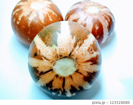 A picture of callosus melon isolated on a white background A picture of callosus melon isolated on a white background 123528080