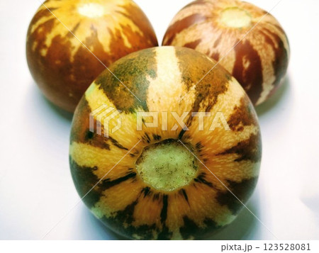 A picture of callosus melon isolated on a white background 123528081