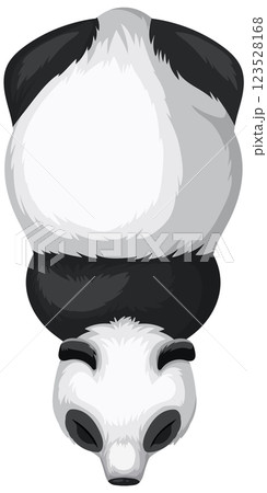 Top-Down View of a Panda 123528168