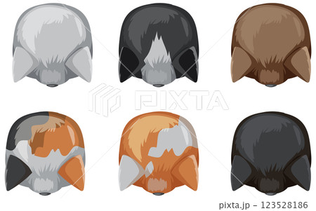 Top-Down View of Six Dogs 123528186