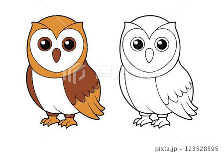 grey owl on white background 123528595