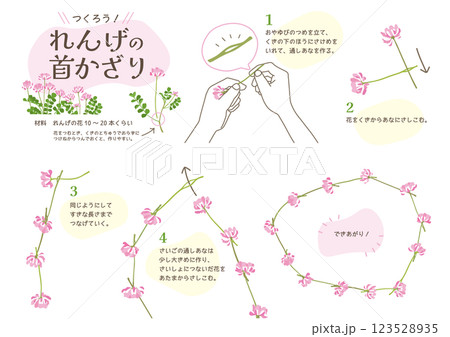 レンゲソウをつなげて作る首飾り　作り方の説明イラスト 123528935
