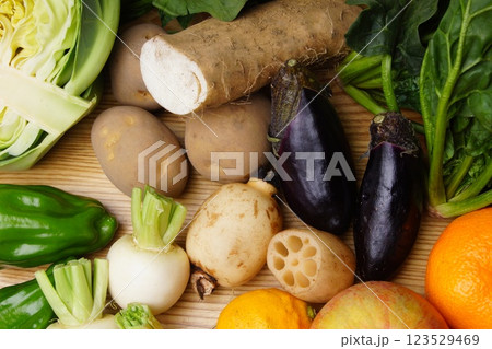 野菜と果物がいっぱい 野菜と果物がいっぱい 123529469