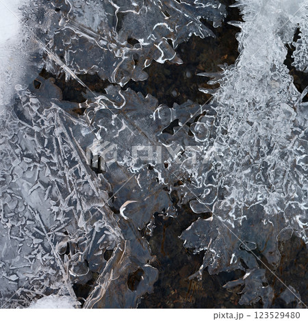 Frozen stream and ice closeup photo. Beautiful winter abstract background in nature. Concept for water and winter time. Frozen stream and ice closeup photo. Beautiful winter abstract background in nature. Concept for water and winter time. 123529480
