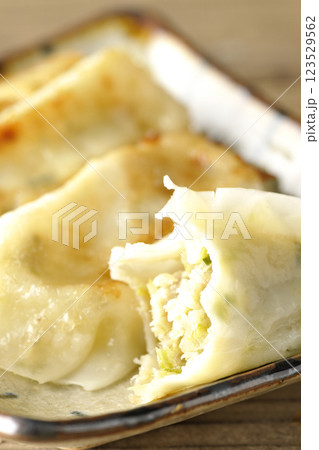 餃子の単品撮影 餃子の単品撮影 123529562