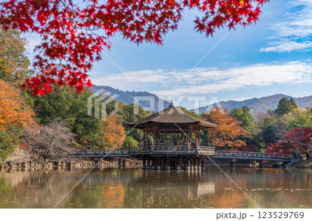 【紅葉】秋の奈良公園 浮見堂 【紅葉】秋の奈良公園 浮見堂 123529769