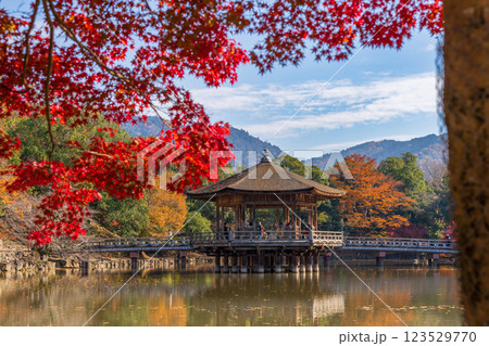 【紅葉】秋の奈良公園　浮見堂 123529770