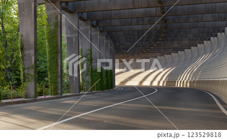 curved road under concrete bridge with sunlight shadows, urban tunnel with green ivy on pillars, modern architecture and nature, empty road with perspective 123529818