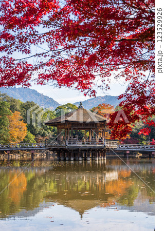 【紅葉】秋の奈良公園 浮見堂 【紅葉】秋の奈良公園 浮見堂 123529926