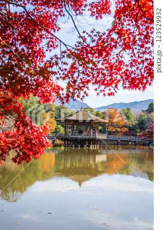 【紅葉】秋の奈良公園　浮見堂 123529932