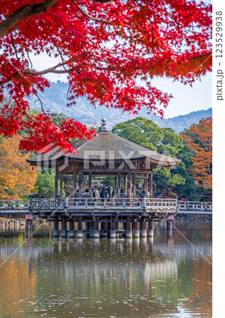 【紅葉】秋の奈良公園　浮見堂 123529938