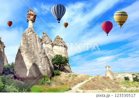 Balloon flight, famous tourist attraction of Cappadocia. Air balloons and Fairy Chimney in Pasabag Valley, Anatolia, Turkey. Topic of vacation, travel, trip abroad on vacation, cruises and tours 123530517