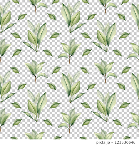 Seamless pattern with watercolor green tea leaves and branches on a white. Foliate repeated background of leaves citrus, orange, grapefruits. Plants texture for organic packaging, textile. Seamless pattern with watercolor green tea leaves and branches on a white. Foliate repeated background of leaves citrus, orange, grapefruits. Plants texture for organic packaging, textile. 123530646