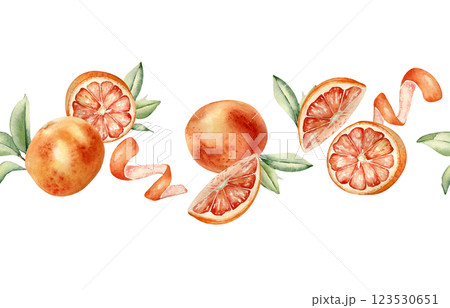 Grapefruits whole and half, orange peel swirl and leaves watercolor seamless border isolated on white. Summer juicy citrus fruits on repeated texture hand drawn with segments red oranges for textile. 123530651