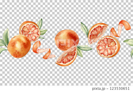 Grapefruits whole and half, orange peel swirl and leaves watercolor seamless border isolated on white. Summer juicy citrus fruits on repeated texture hand drawn with segments red oranges for textile. 123530651