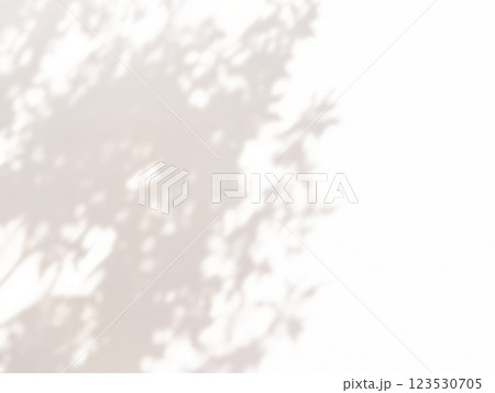 植物　影　光　日差し 123530705