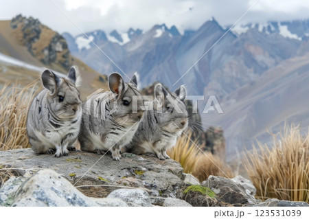 Cute chinchilla sunning itself on a mountain . AI generated 123531039