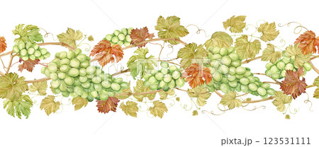 Seamless border of intertwined grape branches. Horizontal pattern of grapevine, green berries and foliage. Watercolor illustration in retro style. Clipart for wine label design in Art Nouveau style. 123531111