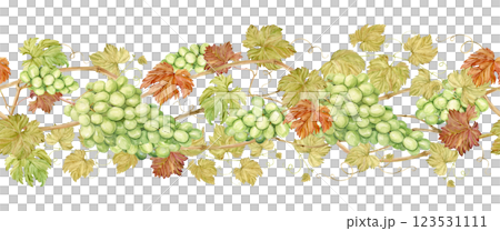 Seamless border of intertwined grape branches. Horizontal pattern of grapevine, green berries and foliage. Watercolor illustration in retro style. Clipart for wine label design in Art Nouveau style. 123531111