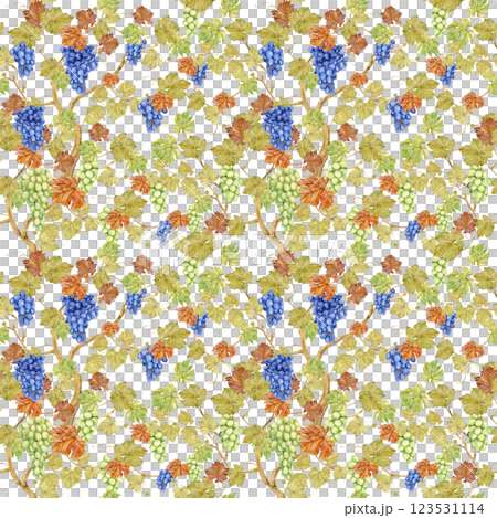 Seamless background with grapevine. Watercolor blue and green autumn grape berries and leaves. Illustrations for wine label design, grape juice, restaurant menu and for grape festival decoration. 123531114