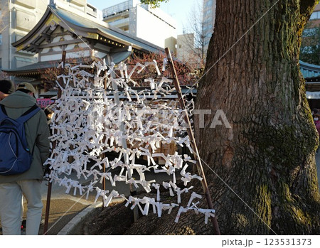 おみくじ 湯島天神 おみくび結び おみくじ 湯島天神 おみくび結び 123531373
