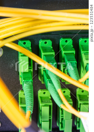 Fiber Optic cables connected to an optic ports 123531484