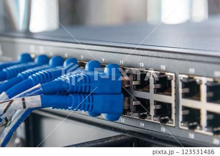 blue ethernet cables connected to switch 123531486