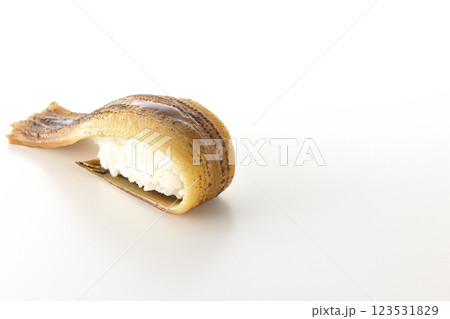 炙り穴子の一本握りを白背景で撮影 123531829