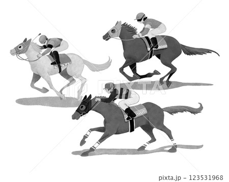 走る3頭の競馬の競走馬と騎手 123531968