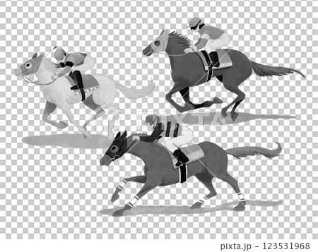 走る3頭の競馬の競走馬と騎手 123531968