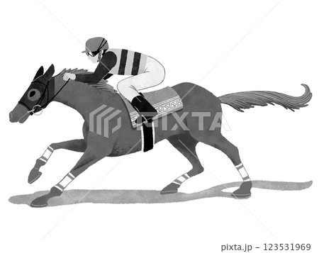走る3頭の競馬の競走馬と騎手 123531969
