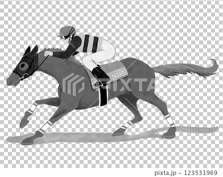 走る3頭の競馬の競走馬と騎手 123531969