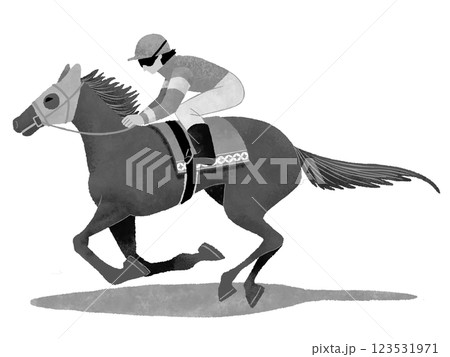走る競馬の競走馬と騎手 走る競馬の競走馬と騎手 123531971