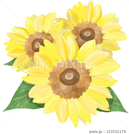 重なり合うひまわりと葉っぱの水彩イラスト 123532179
