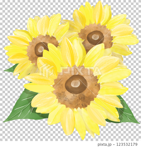 重なり合うひまわりと葉っぱの水彩イラスト 123532179