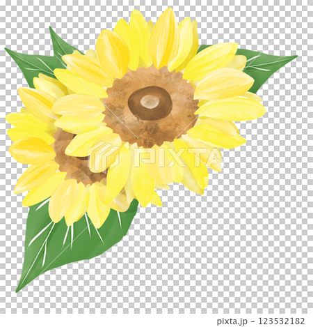 Overlapping sunflower frame watercolor illustration 123532182