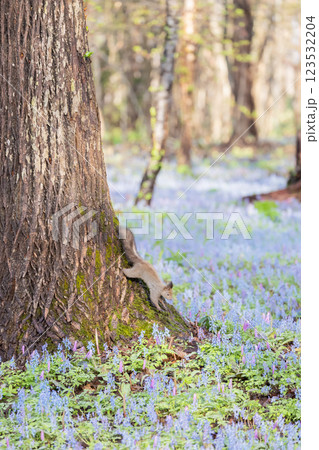北海道浦臼神社の風景 123532204