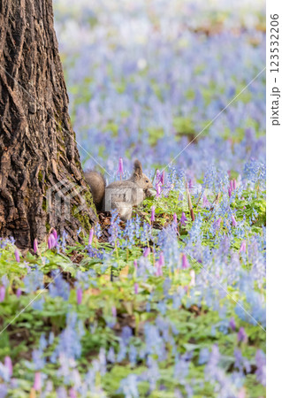 北海道浦臼神社の風景 123532206