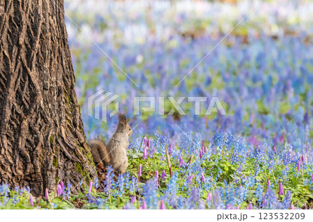 北海道浦臼神社の風景 北海道浦臼神社の風景 123532209