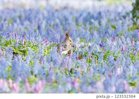 北海道浦臼神社の風景 123532304