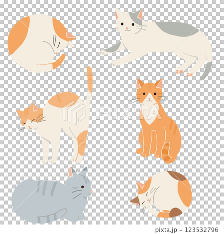 猫たちの可愛いポーズイラストセット 123532796