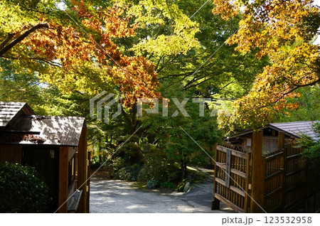 紅葉に包まれた山門 紅葉に包まれた山門 123532958