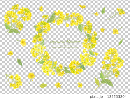 水彩で描いた菜の花のベクター水彩フレーム 123533204
